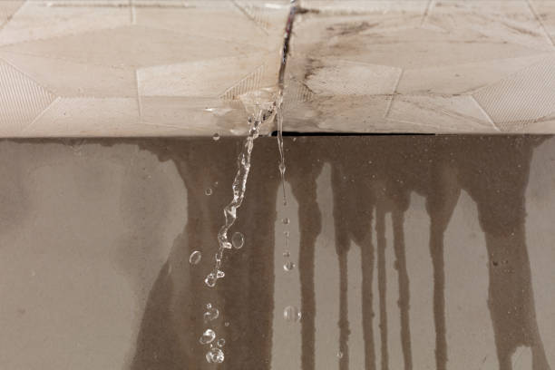 Professional Sewage Cleanup technician working in Wilson, AR